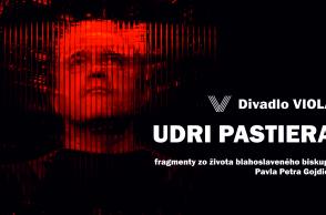 Udri pastiera / 14.1