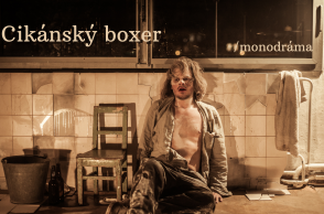 Cikánský boxer