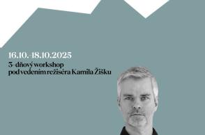 Tvary a Tváre, 8. ročník