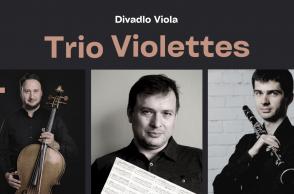 TRIO VIOLETTES